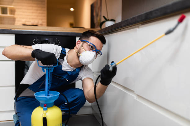 Best Emergency Pest Control  in Cornell, WI