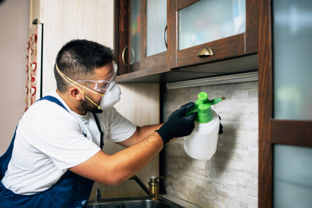Professional Pest Control in Cornell, WI