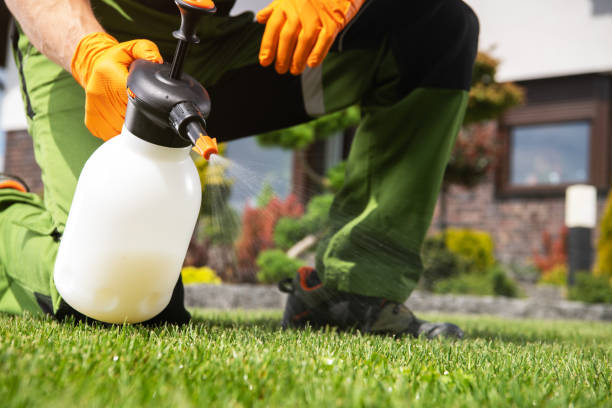 Best Best Pest Control Companies  in Cornell, WI