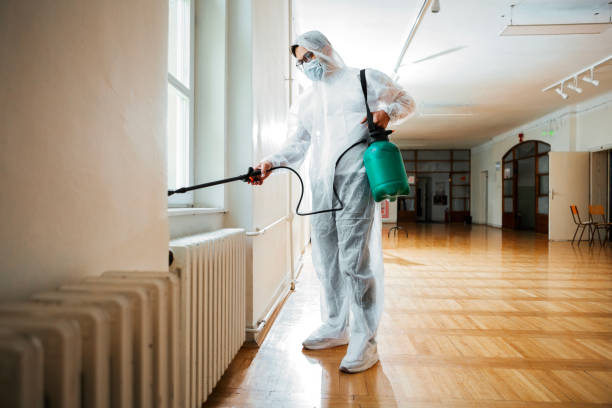 Best Affordable Pest Control Services  in Cornell, WI
